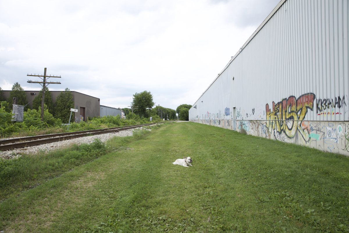 01 The Ward Train Trail - Capture photo 7 - Sounding the City 003 - Guelph 2018